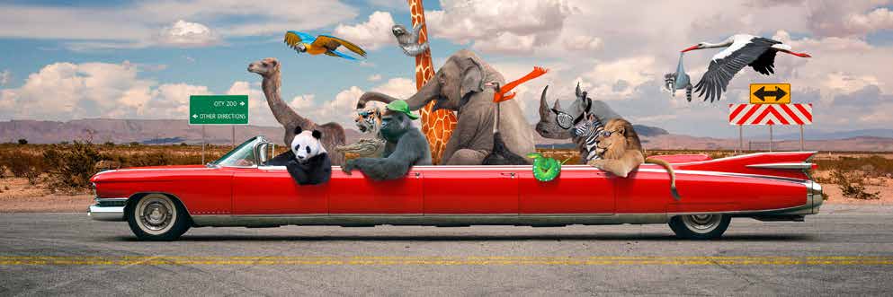 4AP5899 - VizLab - Road Trip