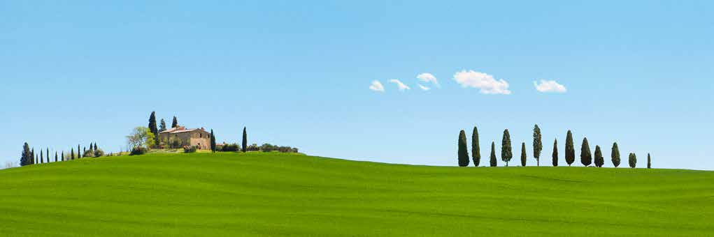 4AP6164 - Pangea Images - Strada del Brunello, Tuscany (detail)