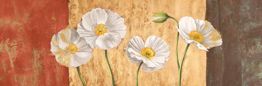 4JT4279 - Jenny Thomlinson - Poppies on Smooth Background