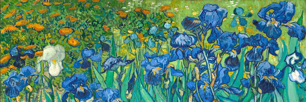 4VG5862 - Vincent van Gogh - Irises (detail)