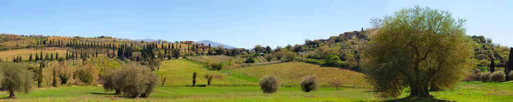 5AP6169 - Pangea Images - Val d’Orcia, Siena, Tuscany