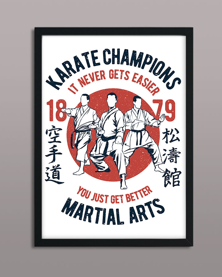 Karate Champions