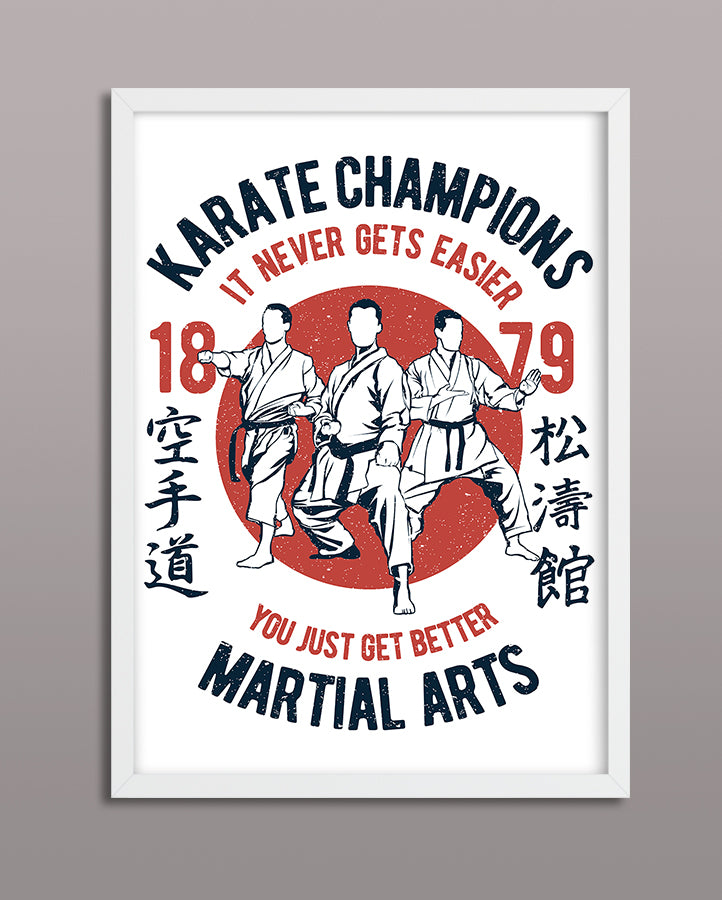 Karate Champions