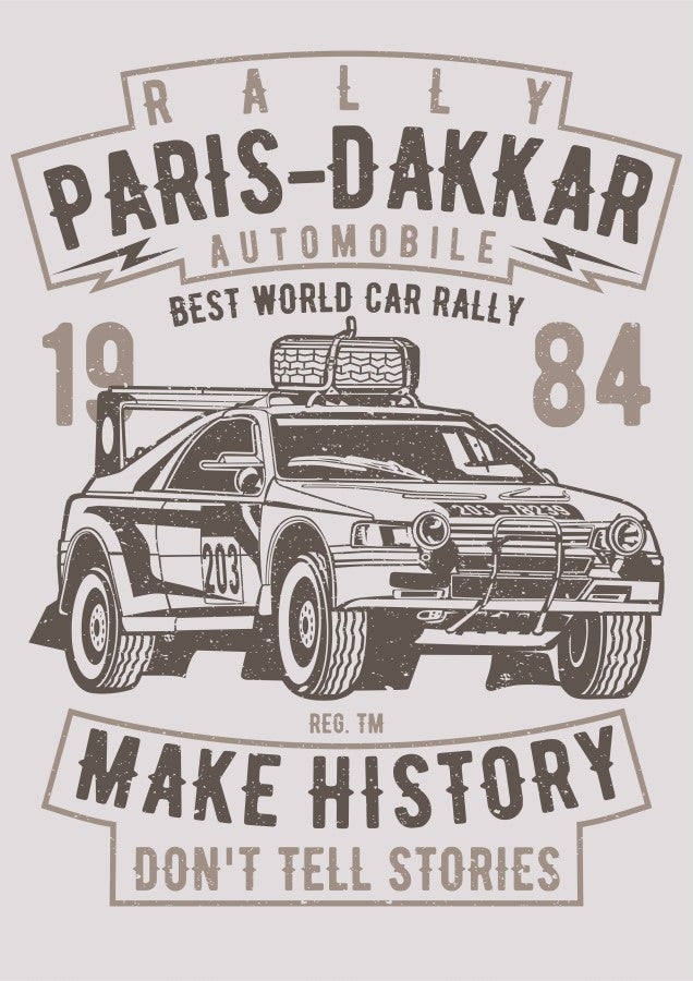 Rally Paris Dakkar Automobile