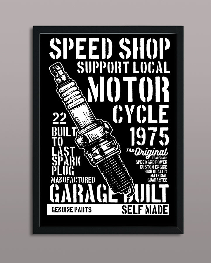 Spark Plug