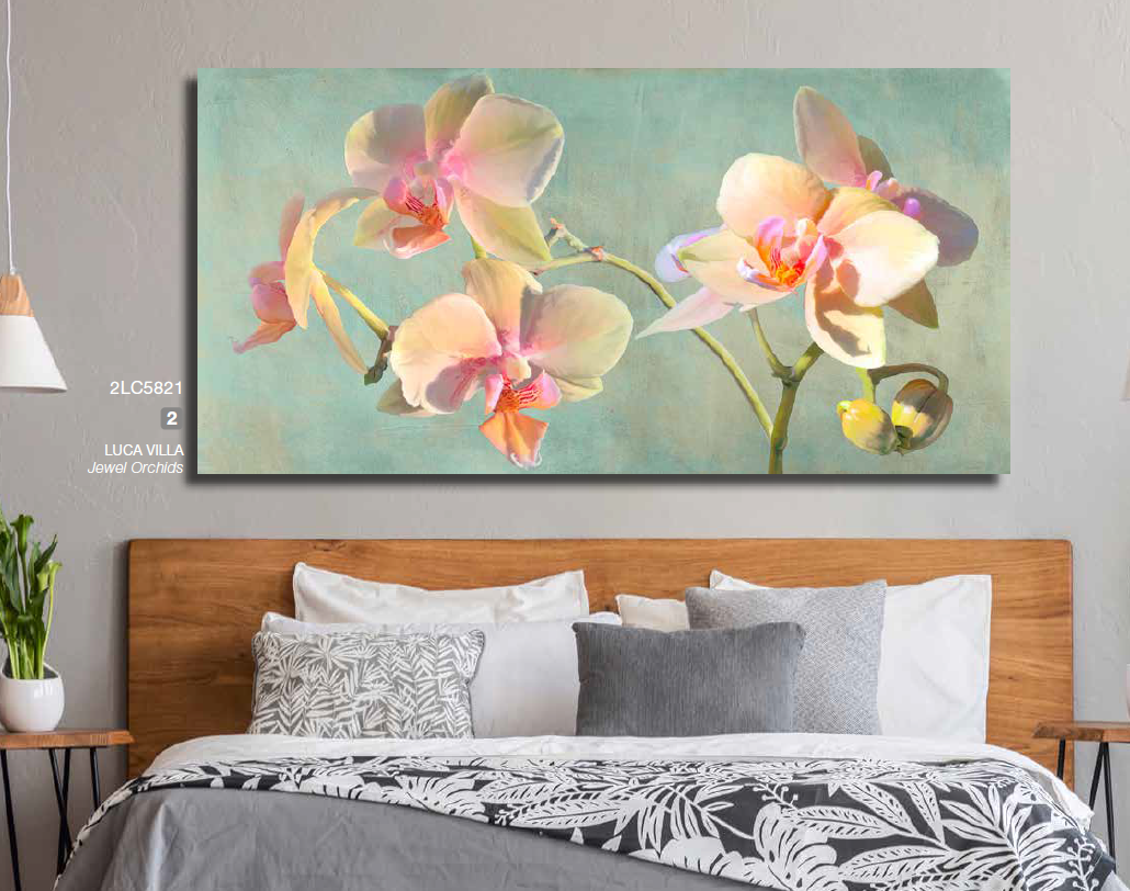 2LC5821 - Luca Villa - Jewel Orchids